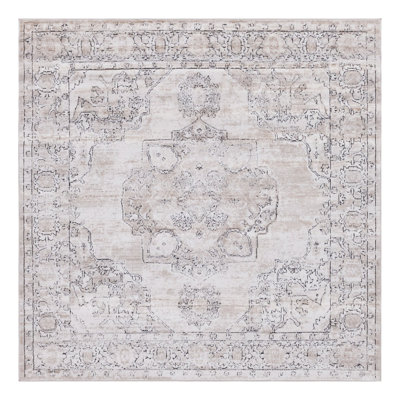 Cantey Oriental Indoor Rug