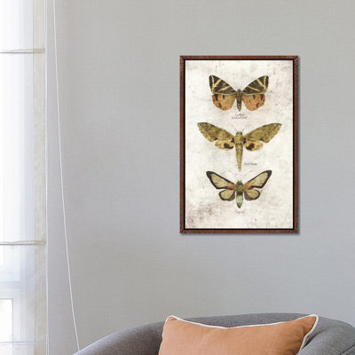 Butterflies VI by Mike Koubou - Print on Canvas