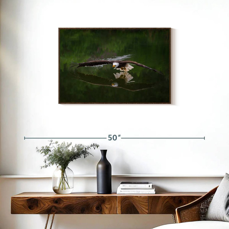 Bald Eagle Reflection, 31" X 21", Floating Frame Walnut