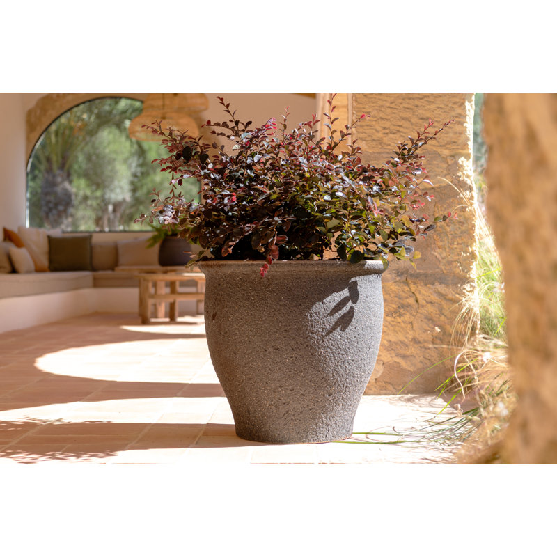 Poseidon S, Umber Brown