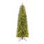 Sapin de Noël vert Fraser avec lumières claires / blanches Fraser-50785615