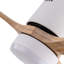 Ventilateur de plafond Jameison
