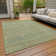 Machine Washable Indoor/Outdoor Claudian ACN1634 Wheat Rug