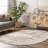 Shockley Faded Floral Performance Beige Rug-1292772428