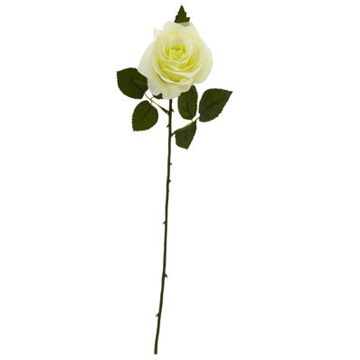 Roses Arrangement
