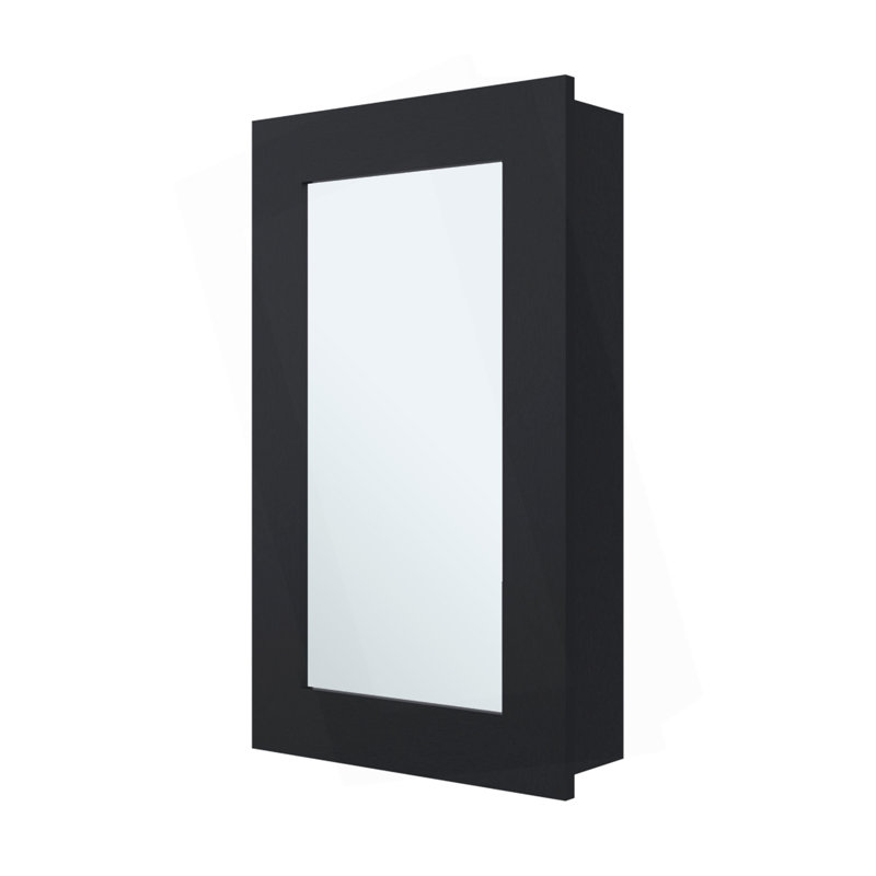 Parks Medicine Cabinet With Included Mirror, Black