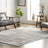 Akimitsu Southwestern Gray Area Rug-389494687