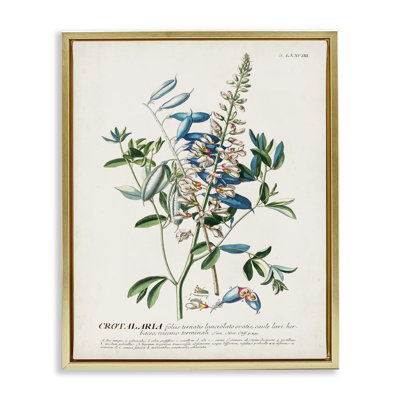 "Botanical Plant Illustration Flowers and Leaves", art mural rétro sur toile par World Art Group