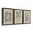 " Antique Black And White Botanical VII " 3 - Pieces-408395204-408394297