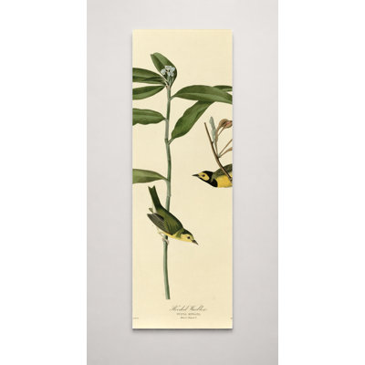 Parquet à capuchon, plaque CX - art sur toile haut