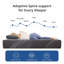 Matelas en mousse à mémoire de forme moyenne 14 po Berryville-502548222-522684274