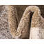 Tapis brun clair Songul-2121054535