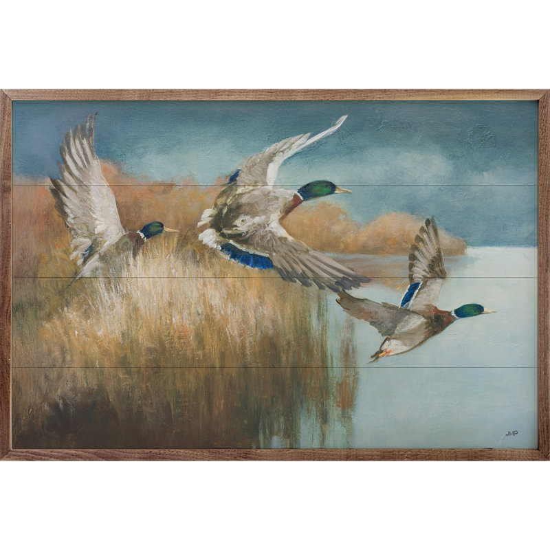 Pinkerton Wild Wings par Julia Purinton, H 10 po x l 16 po