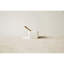 Fenster White Marble Salt Bowl with Gold Stainless Steel Spoon-1896829937