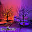 Ensemble de 2 arbres d'Halloween illuminés orange et mauve 24 po