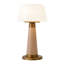 Clemence 11-in Red dimmable LED Table Lamp-110901801