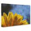 Yellow Daisy Flower - Wrapped Canvas-64020255