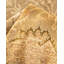 Kendale One-of-a-Kind 9' 1" X 11' 10" Hand Knotted Area Rug