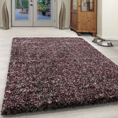 Hearn Shag Polypropylene Red Rug