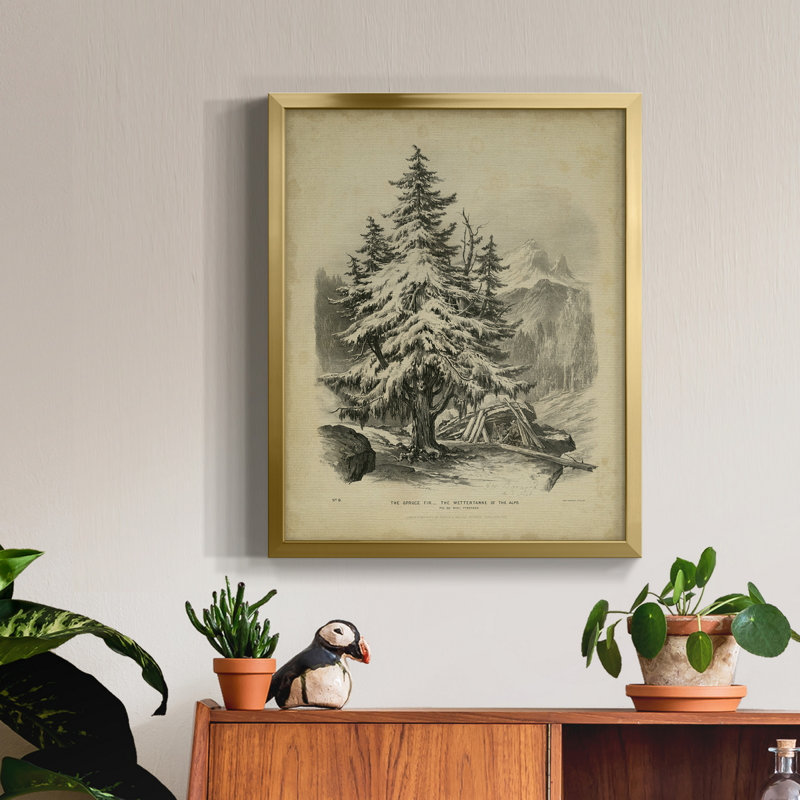 The Spruce - Toile encadrée de qualité supérieure - prête à être accrochée