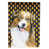 Australian Shepherd (White and Black)