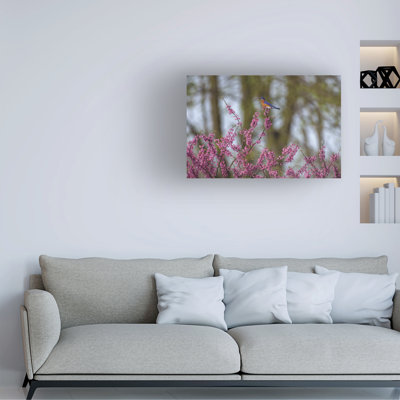 Art sur toile, un oiseau bleu sur un bourgeon rouge