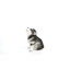 Chiot Malamute d'Alaska