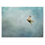 «Up Up and Away Red Épaule Hawk», impression sur toile tendue Vidur-22071920
