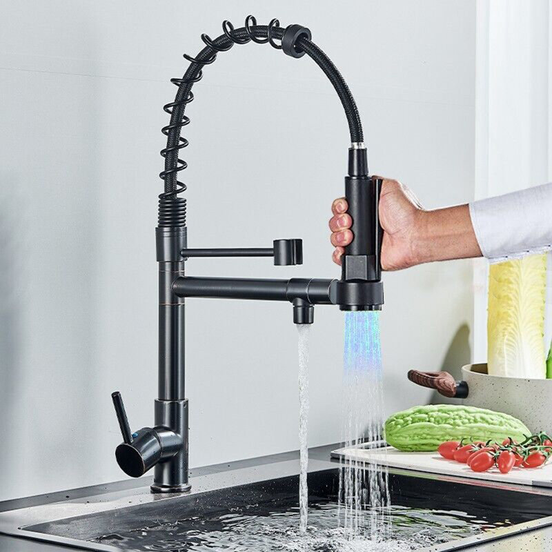 Belfry Kitchen Genevrier Pull Out Kitchen Faucet