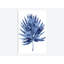 «Palm IV», reproduction d'impression sur toile indigo-29174431-72799408-72799412