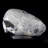 Snowflake Obsidian. Buffalo, Wyoming, USA