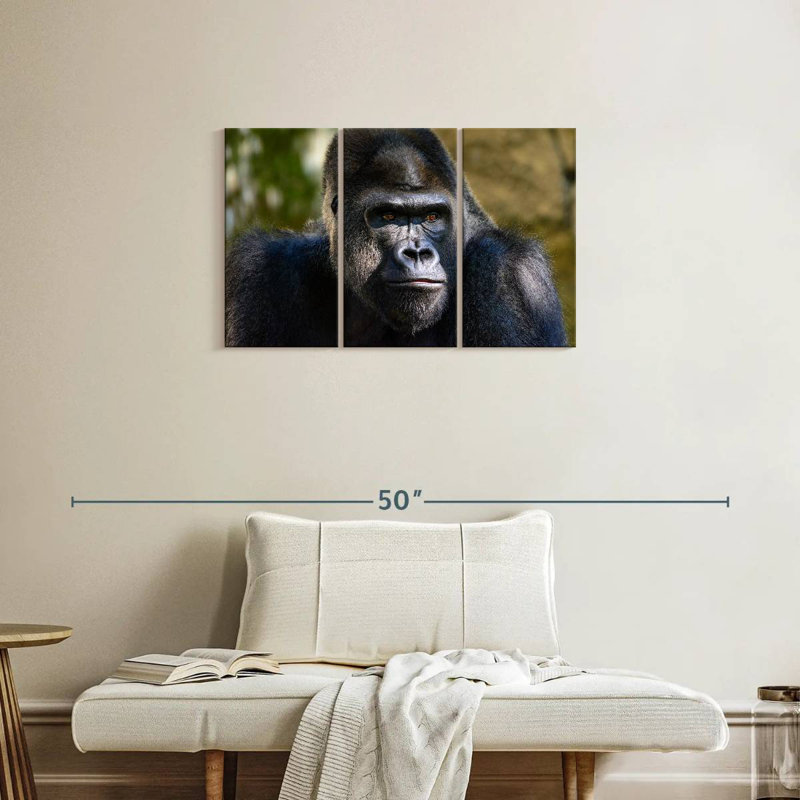 Mountain Gorilla, 20" H x 33" W