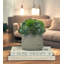 Rizal Faux Succulent in Fiberstone Pot-1299653788