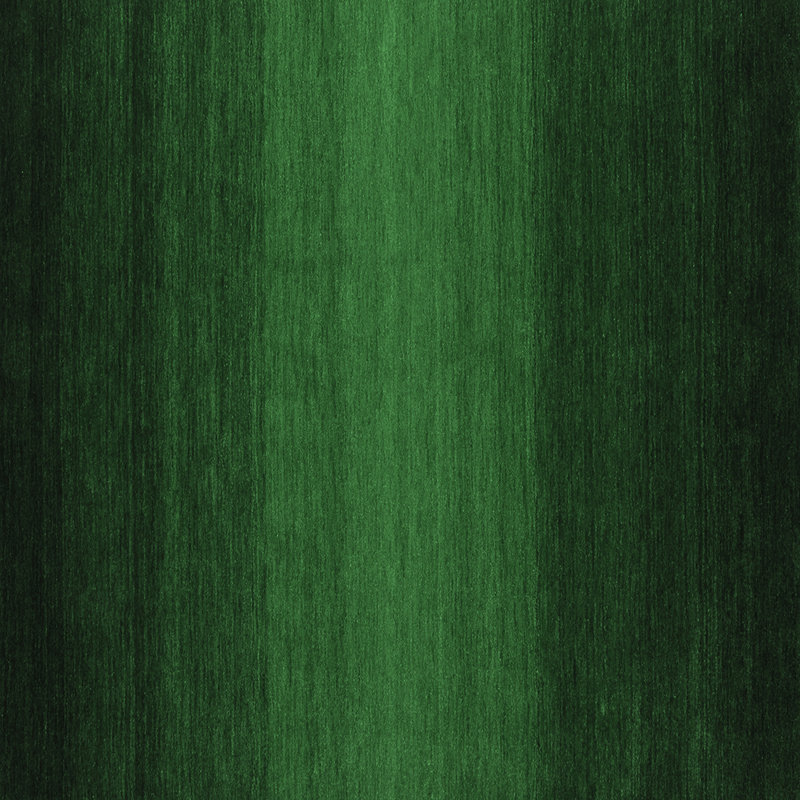 Tapis contemporains vert émeraude lavable à la machine 1788, Carré 5 pi