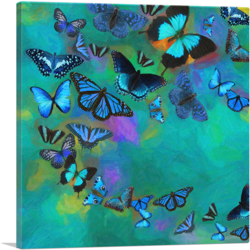 «Teal Blue Butterfly Wings Insect», impression sur toile tendue, H 26 po x l 26 po x P 1,5 po