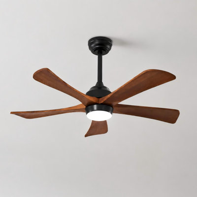 42" Modern 5-Blade Ceiling Fan with Light