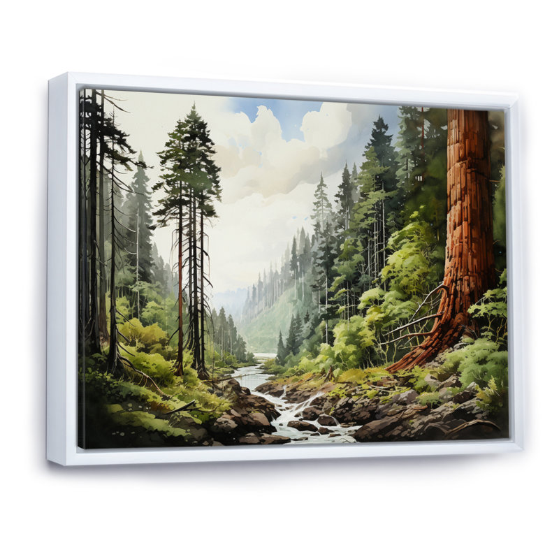 Redwood Giants Tree Forest Lanscape II - Tree Redwood Canvas Wall Art79, H 12 po x l 20 po x P 1 po, Blanc
