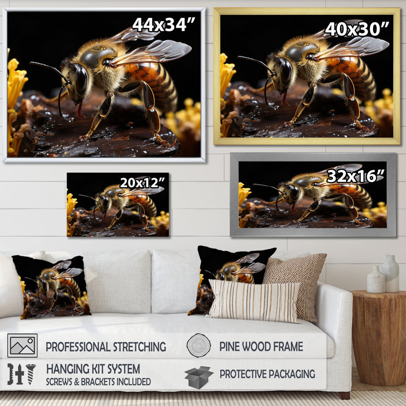 Portrait d'abeille II - animaux, art mural dans le salon, Cadre photo noir, H 16 po x l 32 po x P 1 po