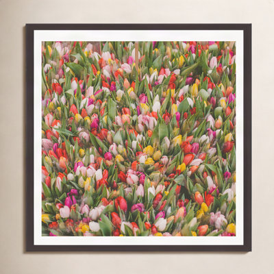 Thyrome "Rainbow Tulips" Print by Hello Twiggs