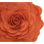  Housse de coussin en polyester-86924952-86924935-86924936