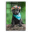 «Black Lab Pup 6» par Jonathan Ross-313399571