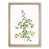Oak Framed selected