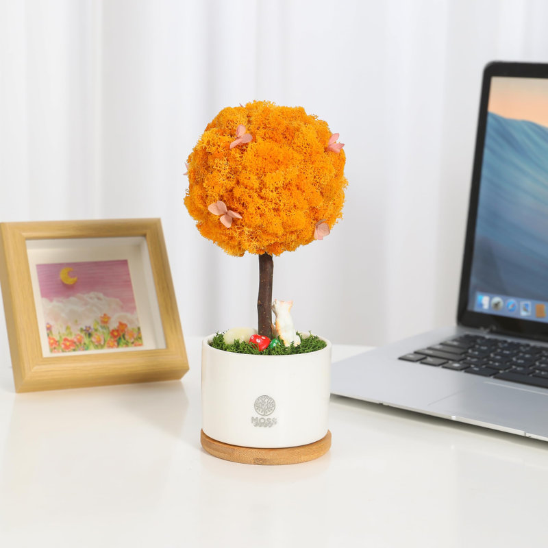Centre de table Mossever en pot, Orange