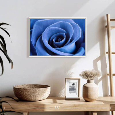 Denim Blue Rose