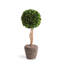 Thisbe Faux Boxwood Topiary in Planter-1710409801