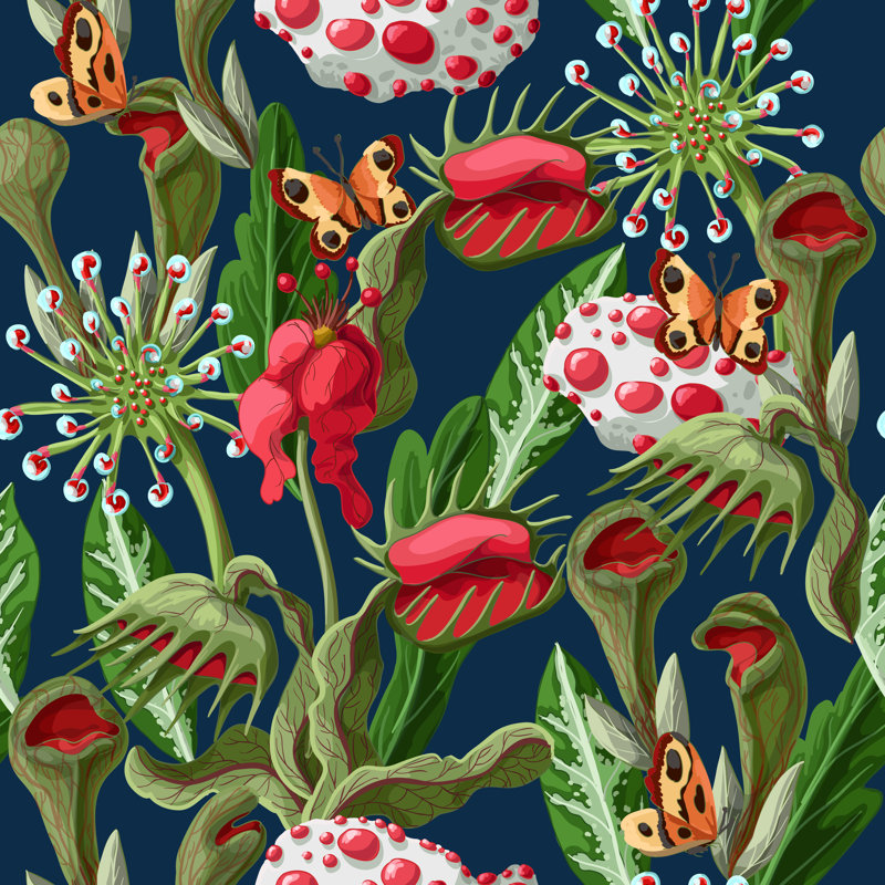 «Kristiana Botanical Illustration», impression sur toile, H 36 po x l 36 po