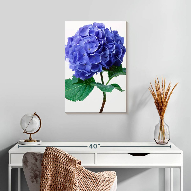 Fleurs d'hortensia bleu Harnek, H 24 po x l 16 po