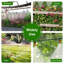 Ensemble d'arrosage goutte-à-goutte, système d'arrosage automatique de jardin avec buses de brume réglables pour serre, parterre de fleurs, patio, pelouse