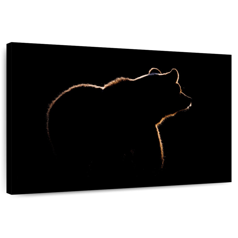 Silhouette d'ours Brampt