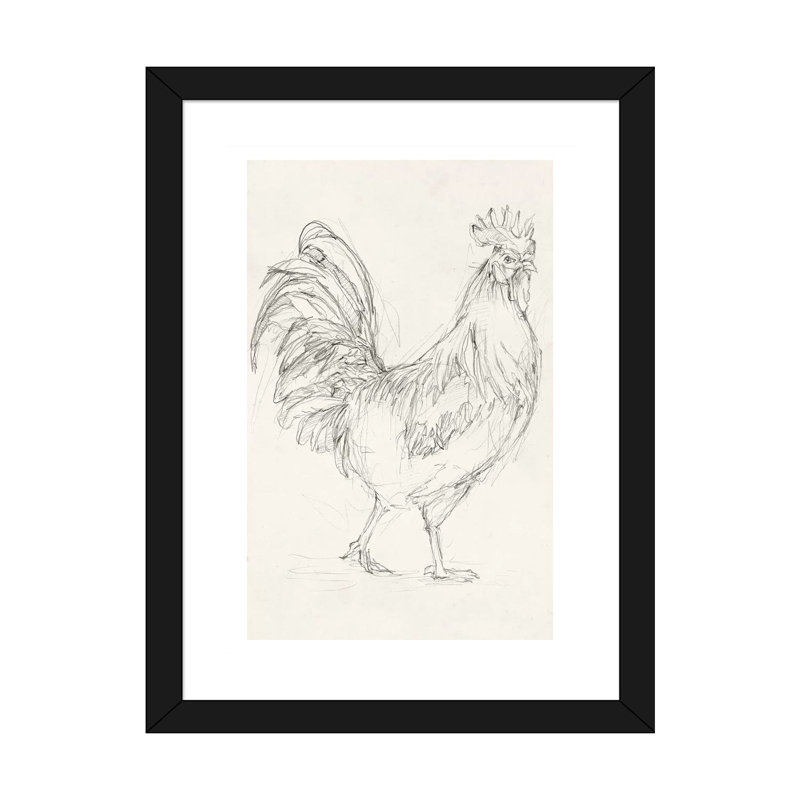 "Rooster sketch I" par Ethan Harper, reproduction d’art, Papier encadré noir, H 24 po x l 16 po x P 1 po, Blanc